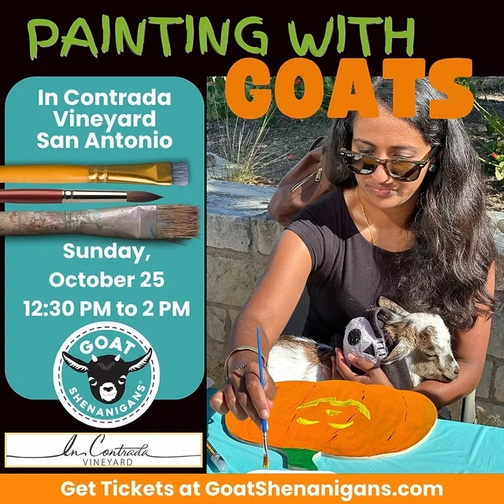 Painting with Goats at In Contrada Vineyard